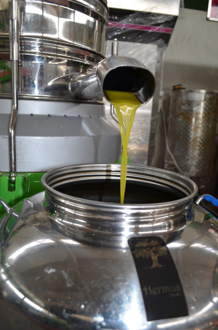 Yavuzhan Zeytinyağı Fabrikası 2023-2024 Sezonuna Başladı