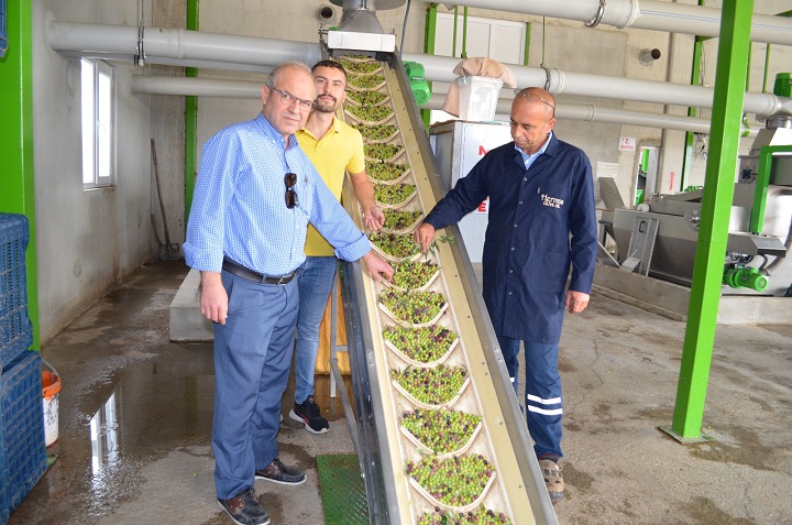 Yavuzhan Zeytinyağı Fabrikası 2023-2024 Sezonuna Başladı