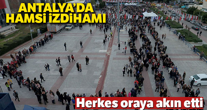 Antalya’da hamsi festivali izdihamı