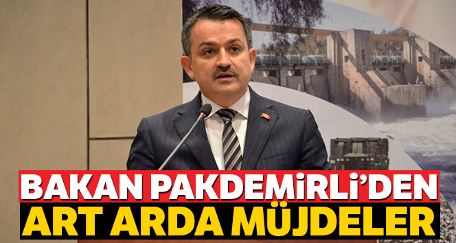 Bakan Pakdemirli'den art arda müjdeler