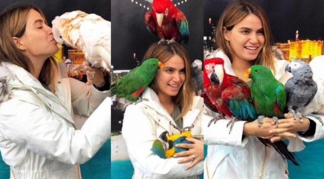 Ceyda Ateş'in etrafını papağanlar sardı!