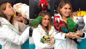 Ceyda Ateş'in etrafını papağanlar sardı!