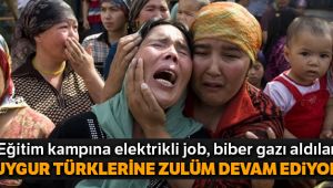 Çin’in Uygur Türklerine zulmü devam ediyor
