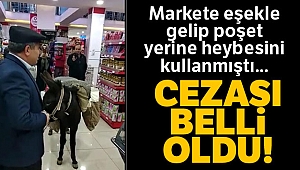 Markette eşekli protestoya 4 bin lira ceza