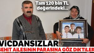 Şehit ailesi dolandırıldı