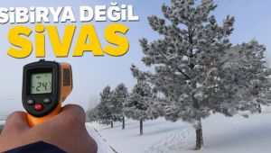 Sibirya değil Sivas