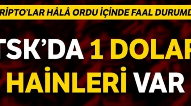 TSK’da hâlâ 1 dolar'lıklar var!