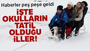 Yarın okullar tatil mi? İşte 8 Ocak SALI günü okulların tatil edildiği iller
