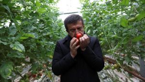 “İlk 3 ay eve gitmeden çözüm planı yapacağız”