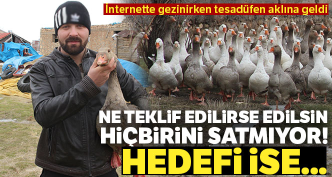 Ne teklif edilirse edilsin kazlarını satmıyor