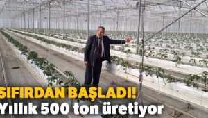 Sıfırdan başladı, yıllık 500 ton domates üretiyor