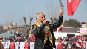 Bayraklı'da deve güreşleri