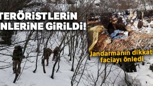 Teröristlerin inlerindeki tuzak jandarmanın dikkatinden kaçmadı