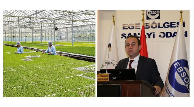 Dikili’de önemli proje