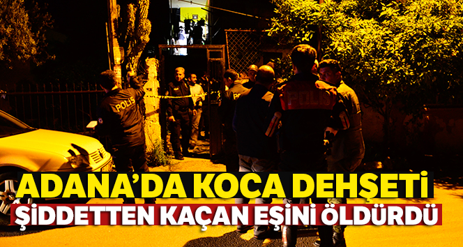 Şiddetten kaçan eşini öldürdü