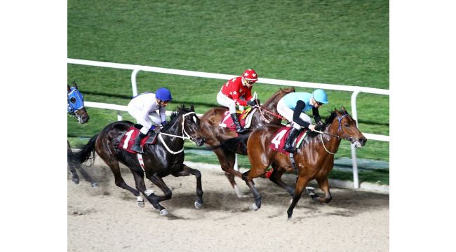 TSYD İzmir Koşusu Steel Runner’ın