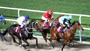 TSYD İzmir Koşusu Steel Runner’ın