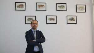 22 Mayıs Uluslararası Biyolojik Çeşitlilik Günü