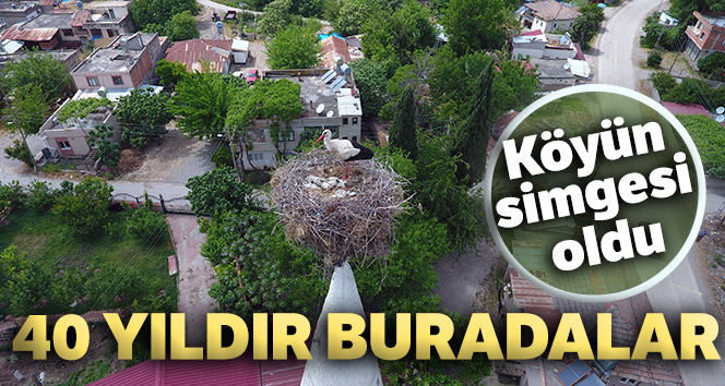 Leylekler köyün simgesi oldu