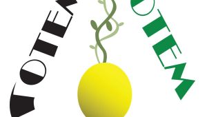 “Anadolu’da Tohum Bilimi ve Arkeobotaniksel Araştırma–SARA- Sempozyumu” 