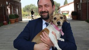 Çiğli'de Pati Dostları Festivalde Buluşacak