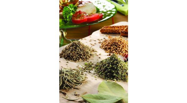 EİB ihracatta düşüşe 'dur' dedi