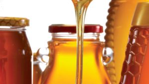 İhracatçılar çam balını dünyaya tanıtıyor