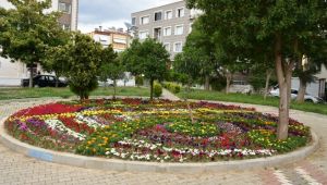 Narlıdere yaz çiçekleriyle süslendi