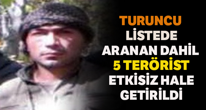 Siirt'te Turuncu Kategori’de aranan terörist dahil 5 terörist etkisiz hale getirildi