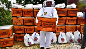 Arıcılık büyükşehir desteği ile yaygınlaşıyor