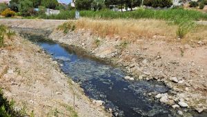 Çeşme'de dereden gelen kötü koku isyan ettirdi