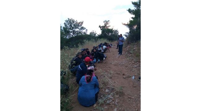 Göçmen kaçakçılığına yönelik operasyon