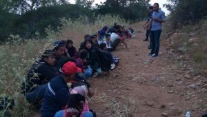 Göçmen kaçakçılığına yönelik operasyon