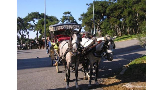 İzmir'in o ilçesinde faytonların kullanımı yasaklandı