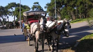  İzmir'in o ilçesinde faytonların kullanımı yasaklandı