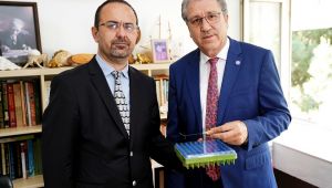 Su yılanları yakın takipte