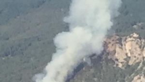  İzmir’de orman yangını
