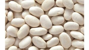 Kuru fasulyeye coğrafi işaret başvurusu