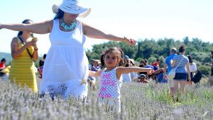 Lavanta Şenliği binleri ağırladı