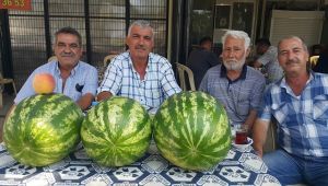 Ödemiş karpuzunun tadı var, alıcısı yok