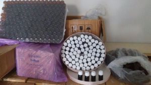 Ölüm şebekesine büyük darbe