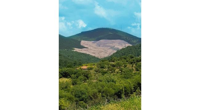 TEMA Vakfı’ndan çağrı