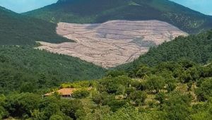 TEMA Vakfı’ndan çağrı