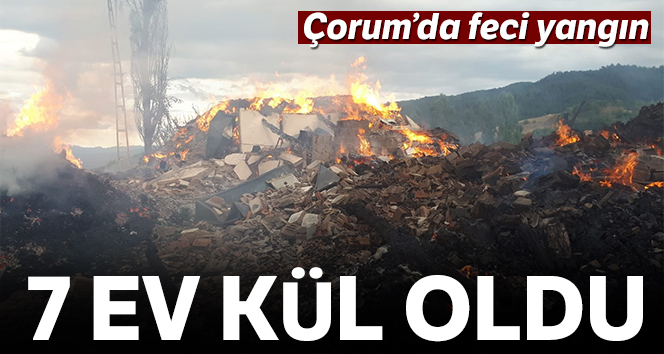 Köyde yangın çıktı, 7 ev kül oldu