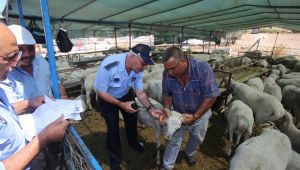 Kurban kesim ve satış yerleri denetleniyor