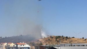 Otluk alanda yangın paniği