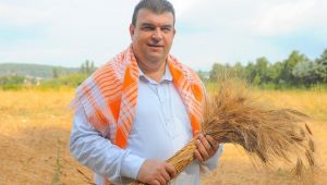 Seferihisar'daki şenlik binlerce kişiyi buluşturacak