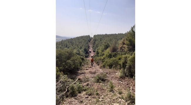 Aliağa’da çıkan orman yangını 2 saatte söndürüldü