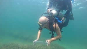  Engelliler sualtı dünyasını keşfetti