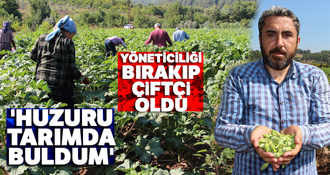 Yöneticiliği bırakıp çiftçi oldu, 'Huzuru tarımda buldum' dedi